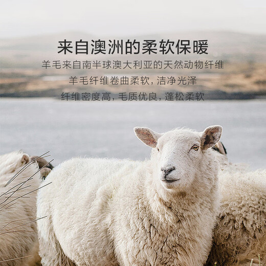 Luolai Home Textiles Infant Class A Cotton 100% Wool Quilt Australian Wool Antibacterial Winter Quilt Core 60 Count Cotton Class A Antibacterial Australian Imported Wool Quilt 200*230cm Thickened Winter Quilt