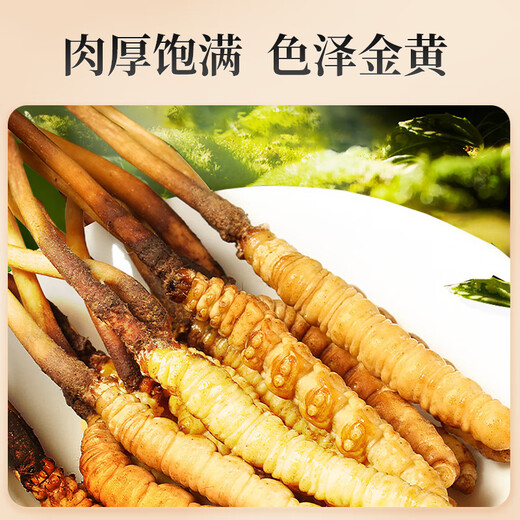 Lei Yunshang Cordyceps sinensis, первая фаза свежего кордицепса, экологическое разведение, холодная свежая доставка, свежий кордицепс не поддерживает возврат, 100 штук (0,4-0,6 г/шт.)