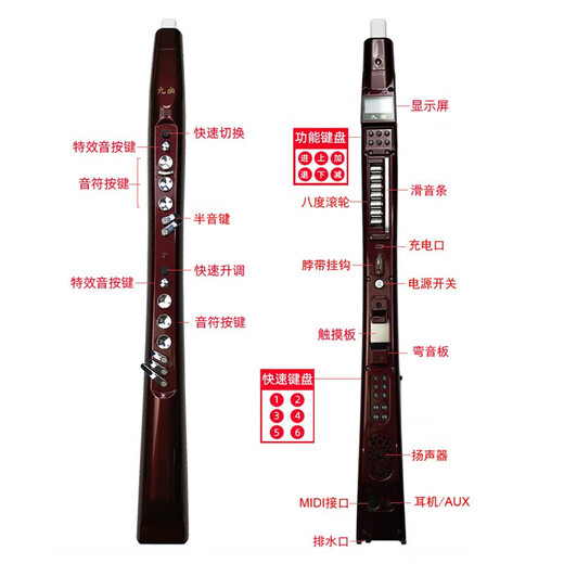 九幽YH801S型号卓恩电吹管（蓝色变色龙）国产乐器中老年人葫芦丝大全 九幽YH801S+新款套餐一