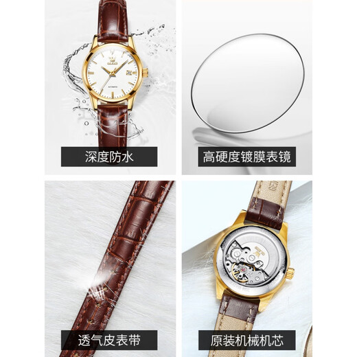 Oliver Switzerland zertifiziert brandneue Uhr für 2025 für die mechanische Watch Light -Luxus -Nische -Uhr -Uhr -Uhr -Top Ten Ten Ten Ten Gürtel 6629 braune Leder schwarze Frauen ()