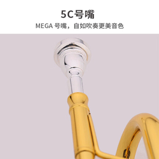 Jinbao Professional Trompete JBTR-050 Anfänger Spielstufe Kinder Erwachsener B-Roil Paint Gold Trompete Instrument