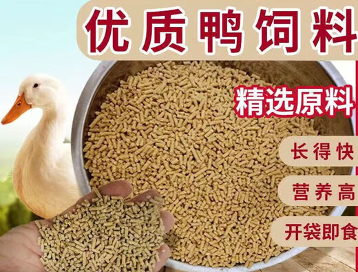 Duck feed for adult large ducks, large grain full-price feed for duck feed for eggs, duck meat and duck, general large duck feed 2Jin Jin is equal to 0.5kg.