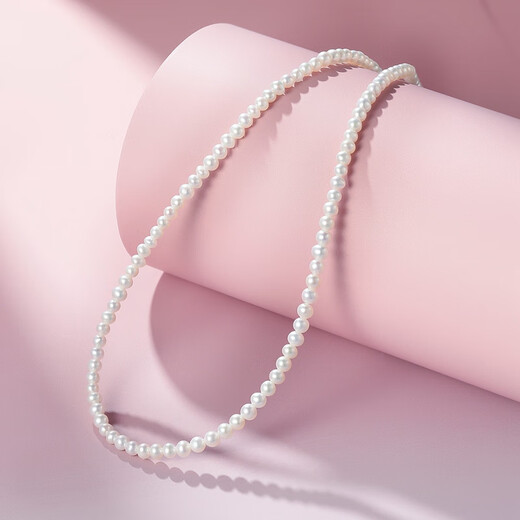 Pearl Queen S925 silver freshwater baby pearl necklace 3-4mm millet bead clavicle chain birthday gift for women