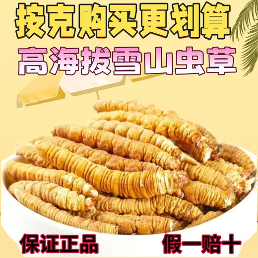 正宗藏区高海拔冬虫夏草断草整肉节10克大瓶装自用家庭装干货正品 西藏那曲精品整肉节5克