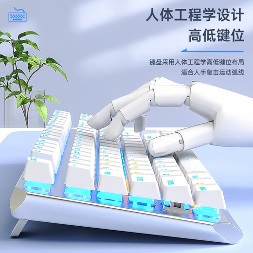 Wolf Spider (AULA) F3087 mechanical keyboard and mouse set 87-key color matching keyboard, full key rollover, small portable key line separation, e-sports game office laptop keyboard, silver white-ice blue light, tea axis