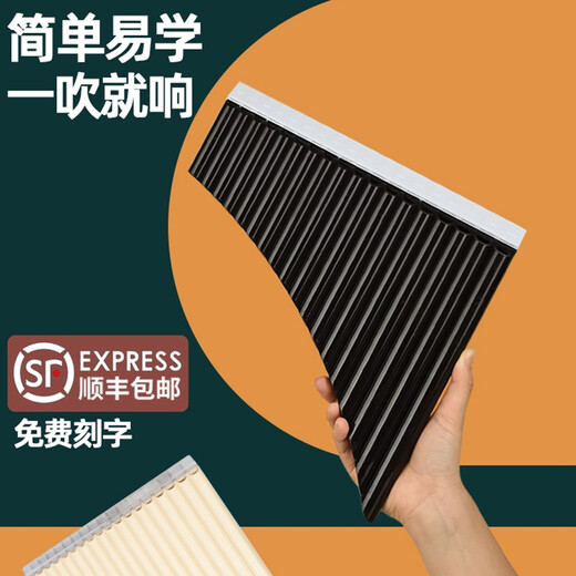 骊歌排箫乐器儿童学生教学专业演奏初学者入门排箫黑白色168管C调 【16管C调】米白+免费刻字