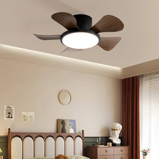 风向标儿童房卧室风扇灯马卡龙小型吊扇灯家用静音过道阳台薄吸顶电扇灯 全光谱小爱29-724A绿+彩色叶吸顶