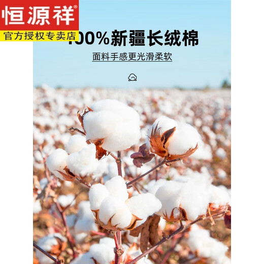 恒源祥品牌男装[纯棉免烫]长袖白衬衫男士春秋季商务休闲正装西,装衬衣 品牌旗舰短6218蓝色平纹纯棉免烫 品牌旗舰44