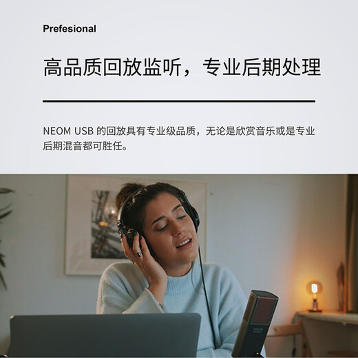 SE popular selection American Neom USB condenser microphone game karaoke live online class dubbing recording professional audiobook built-in sound card radio microphone sE Neom standard configuration