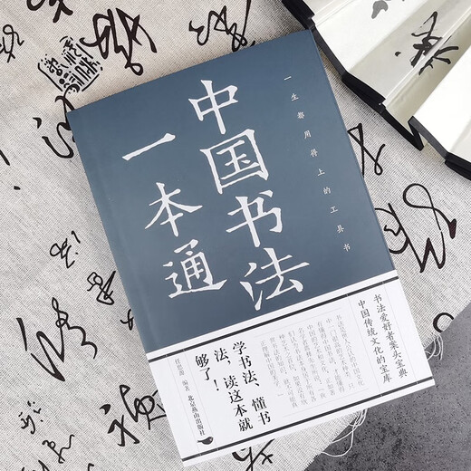 A comprehensive guide to Chinese calligraphy