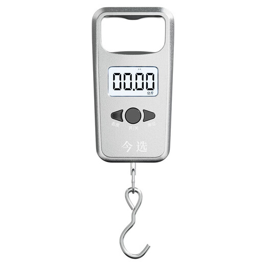 Die heutige Auswahl (Jinxuan) Tragbarer elektronischer Skala Hochvorbereitete tragbare mini kleine hängende Skala-Haken-Wiege-Spring-Gepäckschale Fischereiskala Silber Batterie Modell 50 cm Jin [Jin ist 0,5 kg]