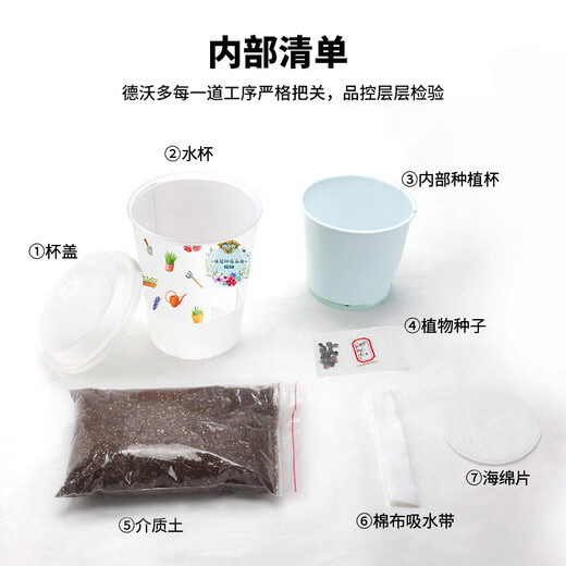 Devodo Sunflower Seeds DIY Children's Fun Planting Potted Sets Student Plant Observation Kindergarten Mini Potted Plants