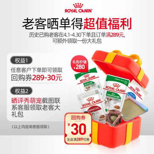 Royal Canin Miniature Schnauzer Adult Dog Complete Price Food SNZ25 [Recommended Value] 3kgX2