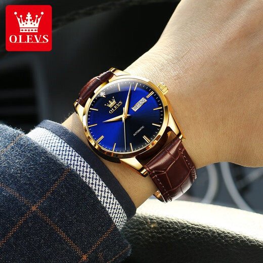 Olevs Swiss Certified Brand Watch Men's Mechanical Watch Men's Uhr