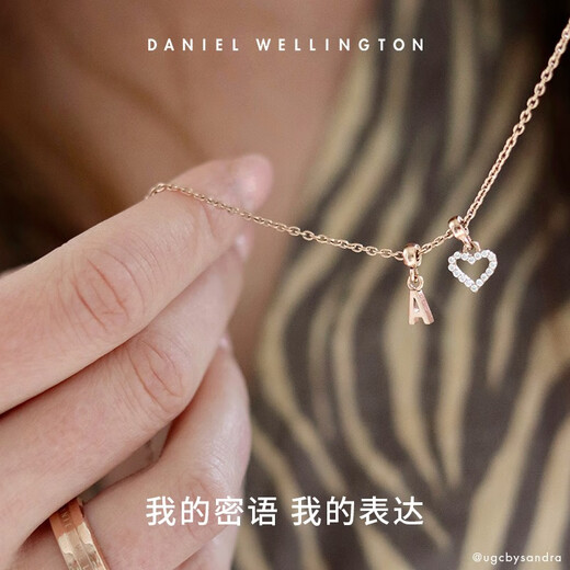 Daniel Wellington DW Pendant Secret Word Series Love Pendant Ball Beads DIY Gift Personalized Simple Birthday Gift Hollow Stone Love Pendant DW00400427