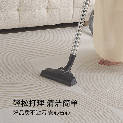 布迪思地毯卧室大面积满铺家用客厅毯沙发茶几轻奢防滑毯简约可定制地毯 现代6210【加厚圈绒】 240*300CM