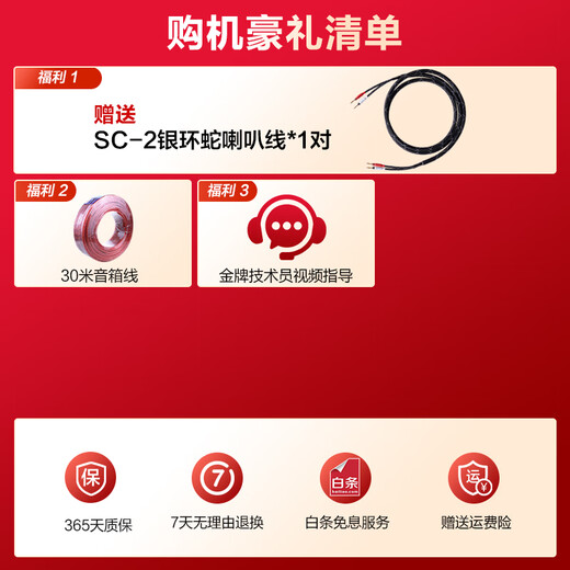 天逸（Winner）TD-8 童笛8号 家庭影院套装5.1音响组合 家用功放k歌音响套装 TD-8 (2.0声道)音箱一对
