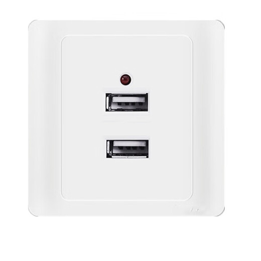 People's Electrical Appliances USB Socket Panel Specifications Two-digit USB Unit