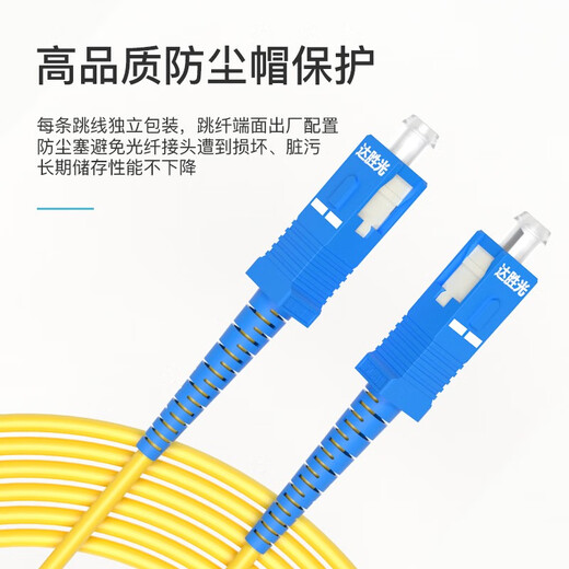 达胜光 电信级光纤跳线 SC-SC单模单芯 低烟无卤光纤线 收发器尾纤连接线 10米3.0 DSG-SUSU10S