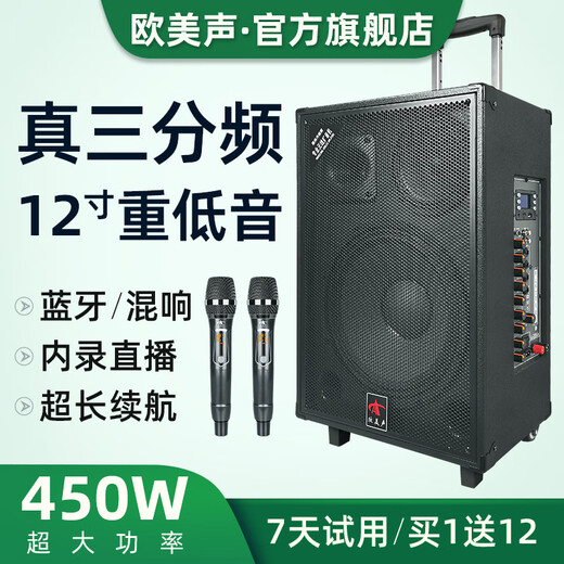 European and American outdoor audio karaoke dedicated three-way high-power professional singing live broadcast square dance performance high-quality large volume mobile pull rod Bluetooth portable speaker equipment 12-inch 263 pull rod 450W 2* wireless lavalier microphone + gift package