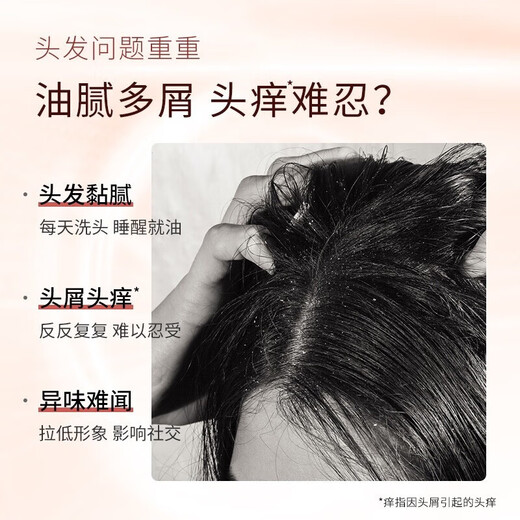 Ziyuan Wuwanzi Shampoo Oil Control Anti-dandruff Tea Seed Silicone Oil-free Men and Women Ginger Anti-Damping Shampoo 535ml Tea Seed Oil Control Anti-dandruff Shampoo 535ml*1 Bottle