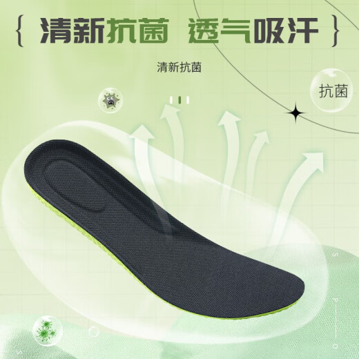 邦尼世家2双装运动鞋垫男防臭军训站久不累踩屎感超软女夏季吸汗艾草抗菌 【2双】久站防痛丨抗菌艾草 41-42码