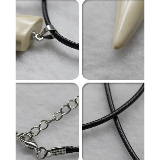 Snqp mammouth dents poinçon pendant collier pendentif femmes de tempérament simple gigantesque gise de pendentif gadin bellestie fidelity 3271 # spécifications environ 9 * 37 mm en vedette de produits fins