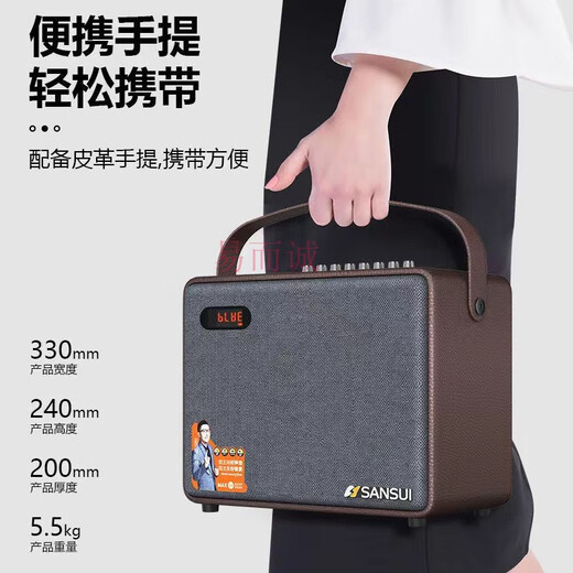 Shanshui SS902 Square Dance Bluetooth High Power Speaker Live Broadcast Sound Card Musical Instrument Playing and Singing Karaoke Outdoor Audio SS902 Dual Microphone
