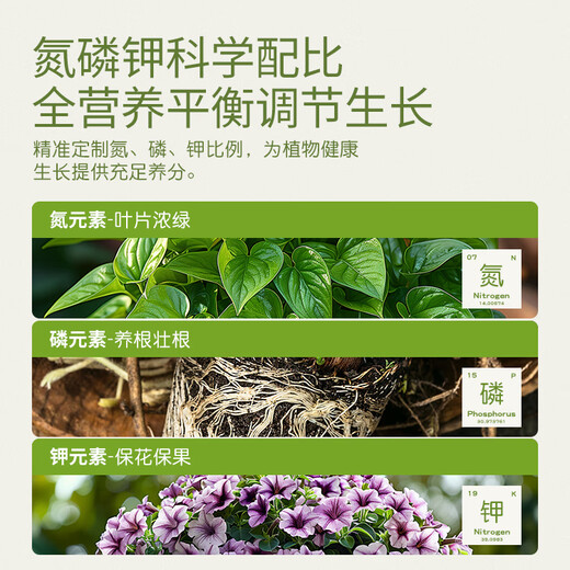 Stanley large element water-soluble fertilizer for flowers, high nitrogen, high phosphorus, high potassium nitrogen fertilizer, phosphate fertilizer and potassium fertilizer, general compound fertilizer 500g