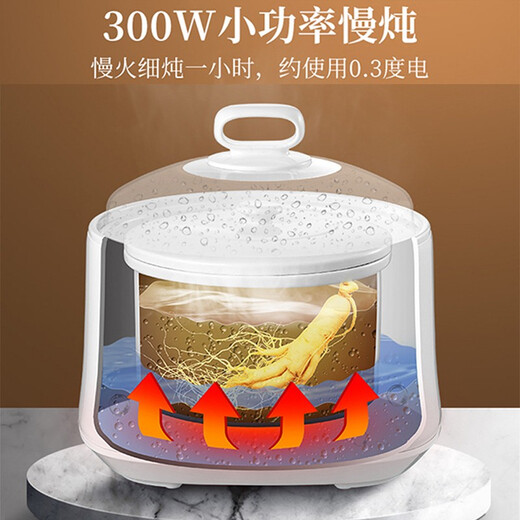 Cool Dixiong electric stew pot, water-proof stew pot, household 4-person fully automatic ceramic casserole, bird's nest soup, baby food supplement, porridge, large capacity 3L electric stew pot (single bold)