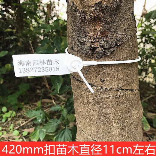 One-time customized garden seedling seal number tree extended plastic seal label sign 42CM50CM60CM plastic 60cm white 100 pieces