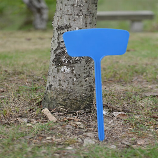 西普顿多种规格多种颜色塑料大号插地牌园艺标签园艺标识牌指示牌地插牌 面36cm白色10个