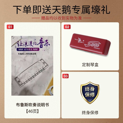 天鹅（SWAN）10孔布鲁斯口琴升级款黑色C调
