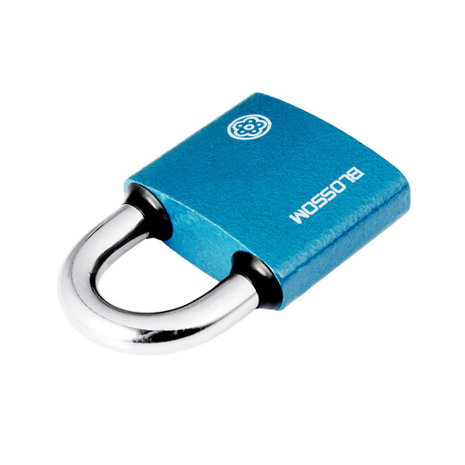 
Plum BlosSOM Padlock Copper core anti-rust lock Indoor and outdoor waterproof door lock Anti-theft household lock 38MM blue BC2938