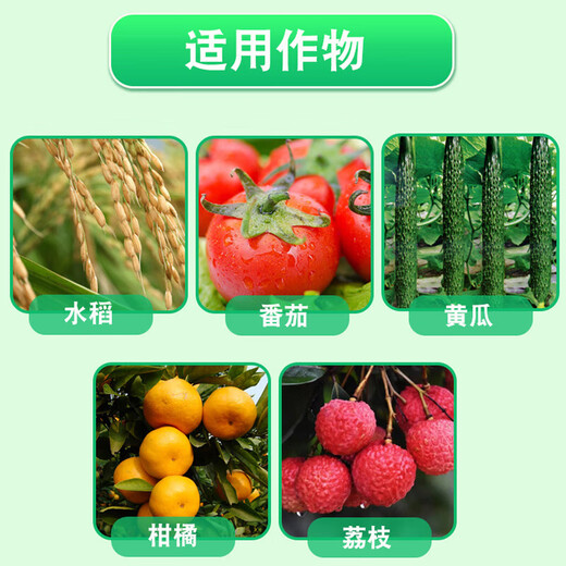 Kasumin Bordeaux Kasugamycin Copper King Copper Leaf Mildew Canker Downy Mildew Bacterial Disease Imported Pesticide Fungicide 1000g