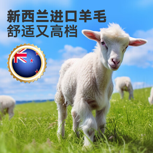 Dajiang floor mat entrance door foot mat entrance floor mat wool carpet door entrance floor mat 75x110cm