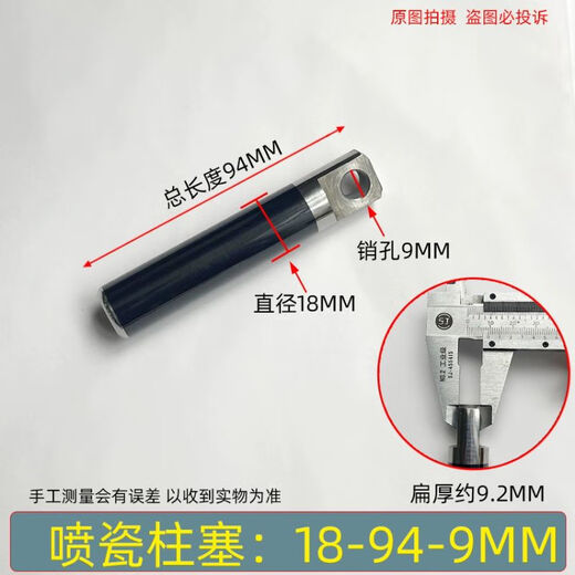 洗车机泵头邦驰洁黑熊猫大乘高压清洗机配件喷瓷柱塞活 喷瓷柱塞1268.56mm1根