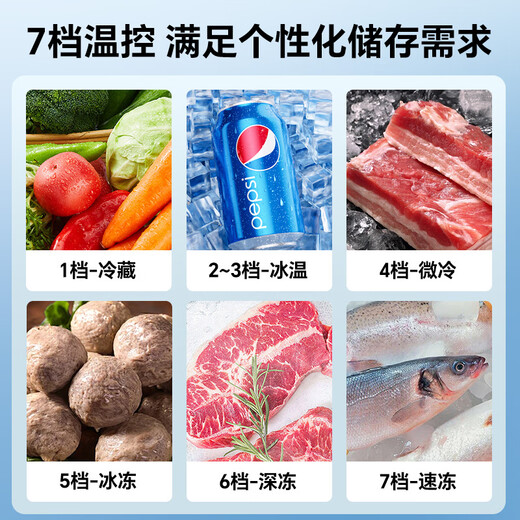 雪花（SNOWFLK）冰柜商用家用冷柜卧式大容量全冷冻柜展示柜单温双温冰柜卧式冷冻饭店酒店保鲜柜 【1048单温】数显款丨一级能效