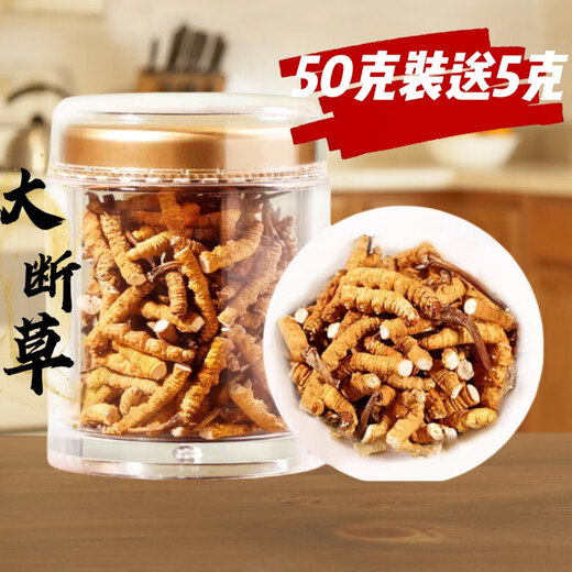 藏区冬虫夏草雪山天然冬虫夏草大断虫草自食大断草实惠煲汤干嚼 虫草大断草20克（发22克装)