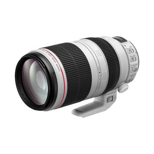 Canon EF 100-400mm f/4.5-5.6L IS II USM telephoto zoom lens international version