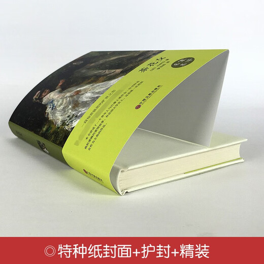 Die Must-Read Classic SN9898 Biographie von Napoleon