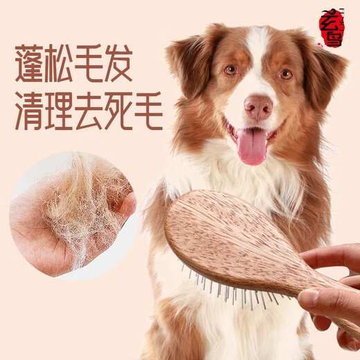 Blackbird pet handle comb cat and dog grooming brush special comb hair protection artifact massage air cushion needle comb cat comb large medium/large dog