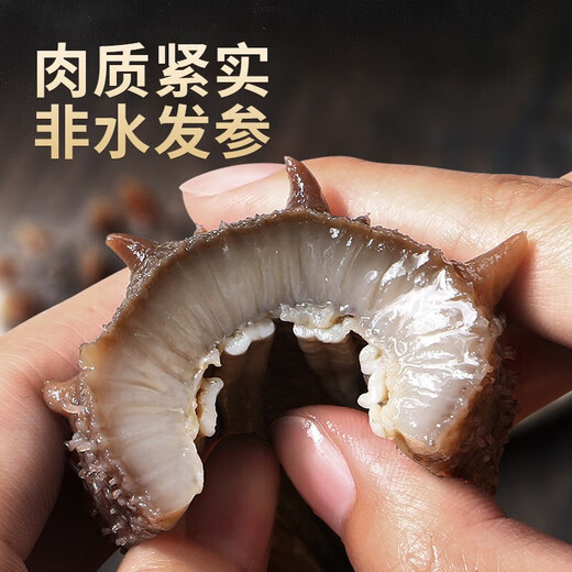 Dongshang Yupin ready-to-eat sea cucumber 1 Jin Jin is equal to 0.5 kg sea cucumber domestic solids 75% fresh 6-9 pieces - straight from the source