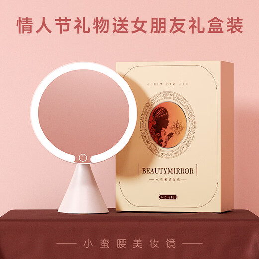 Dong Nailun makeup mirror with light LED daylight dressing makeup mirror fill-in light desktop dormitory smart portable beauty mirror birthday gift for girls and friends Women's Day gift for wife milky white birthday gift box