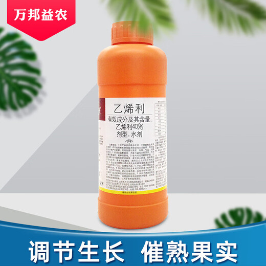 Guoguang Ethylene Ethylene Ripening Rapid Ripening Agent Fruit Banana Persimmon Rice Plant Growth Regulator Agricultural Drug 1kg