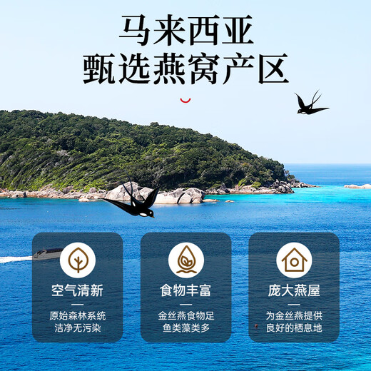 Lei Yunshang [Official] Dry bird's nest imported dry bird's nest can be traced to send elders nutritional supplements tonic gift boxes to make bird's nest porridge [Malay imported secret cup] Dry bird's nest 50g simple package