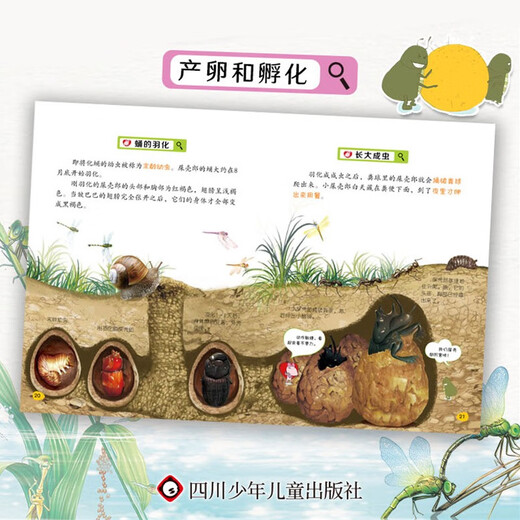 小昆虫大探秘（全套8册）彩图版 中小学生课外科普百科自然动物绘本1348****神马卡通四川少年儿童出版社