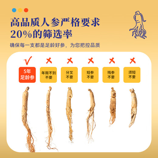 水长东 人参100克10支 吉林长白山人参 滋补送父母 集安边条参煲汤泡酒