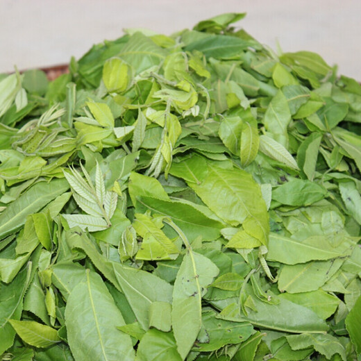 Youkangtai Green Money Willow verlässt Zhangjiajie Green Money Willow Originalblätter alter Baum Gold Geld Willow Tee 1500g
