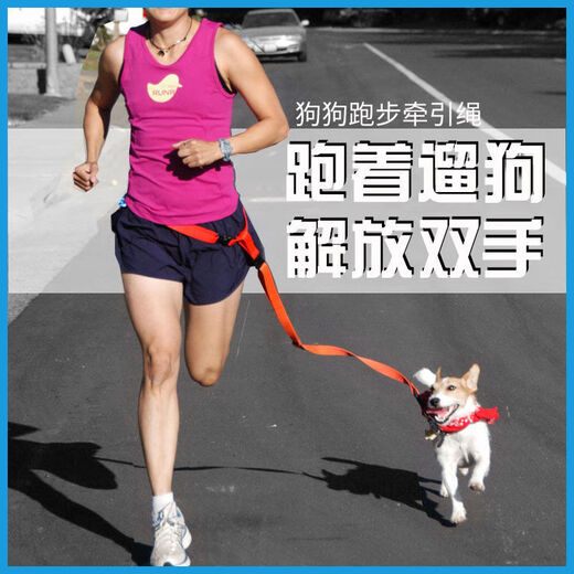 Naughty Nest Dog Running Waist Lash Pet Dog Chain Moyenne taille petite chien extérieur élastique élastique chiens de marche de marche courte